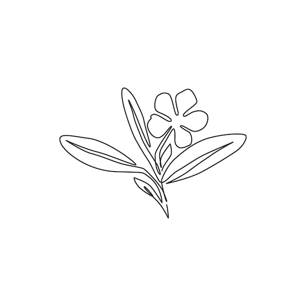 Bígaro de belleza de dibujo de línea continua única para logotipo de jardín Arte de póster de flor de vinca imprimible