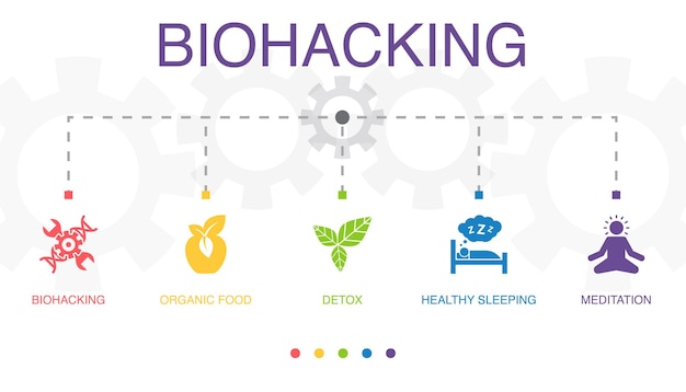 Biohacking comida orgánica desintoxicación sueño saludable iconos de meditación Plantilla de diseño infográfico Concepto creativo con 5 pasos