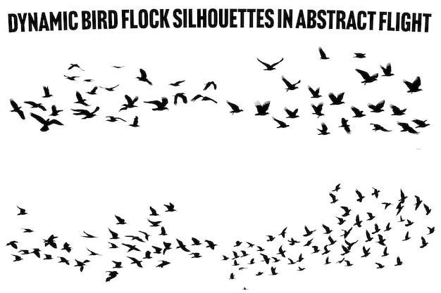 Bird Migration Flock A Natural Wildlife Vector Collection
