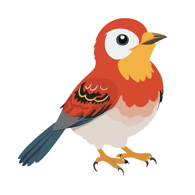 Bird Vector Cute Bird Vector Ilustración Hermosas y lindas aves multicolores para cualquier diseño