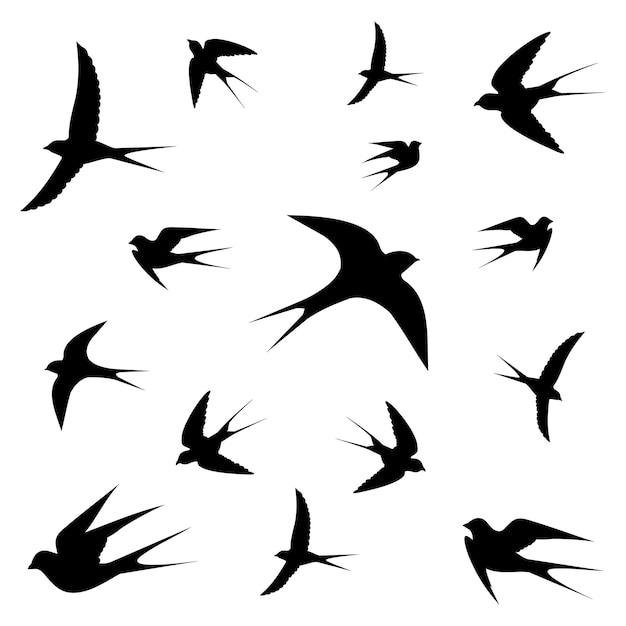 Birds vector