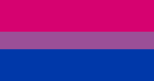 Bisexual lgbt orgullo bandera vector imagen