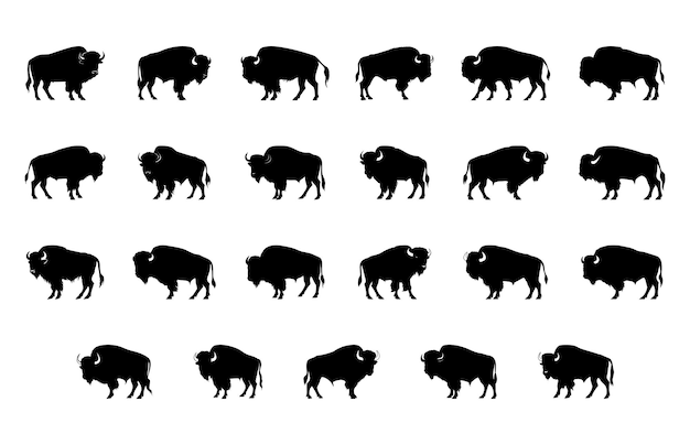 Bison silueta Clipart paquete de bisonte americano vector conjunto de silueta negra