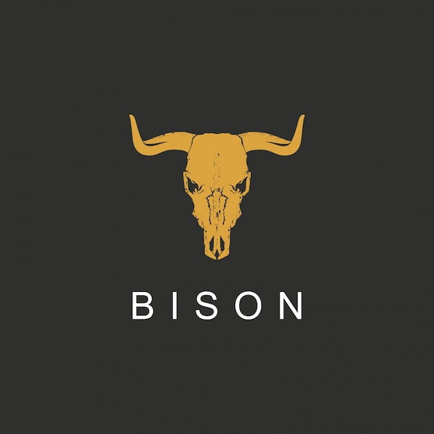 Bison skull