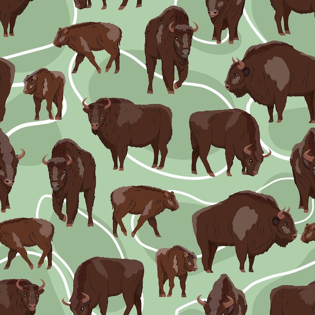Bisonte europeo de patrones sin fisuras Bison bonasus Machos hembras y terneros Bisonte de madera europeo