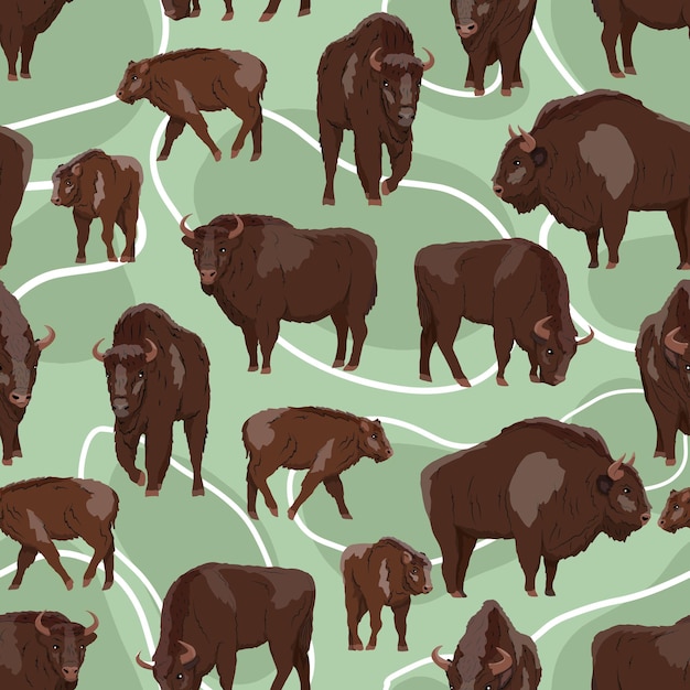 Vector bisonte europeo de patrones sin fisuras bison bonasus machos hembras y terneros bisonte de madera europeo