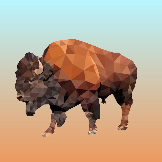 Bisonte