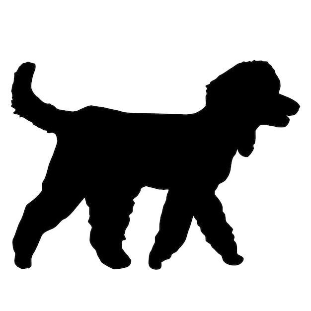 Vector black silhouette of dogs on a white background