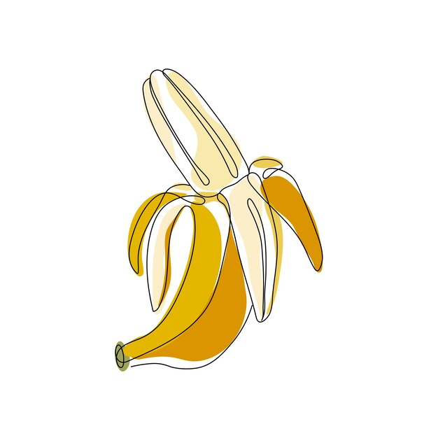 Black single continuous one line drawing tropical banana fruit vector editable ilustración