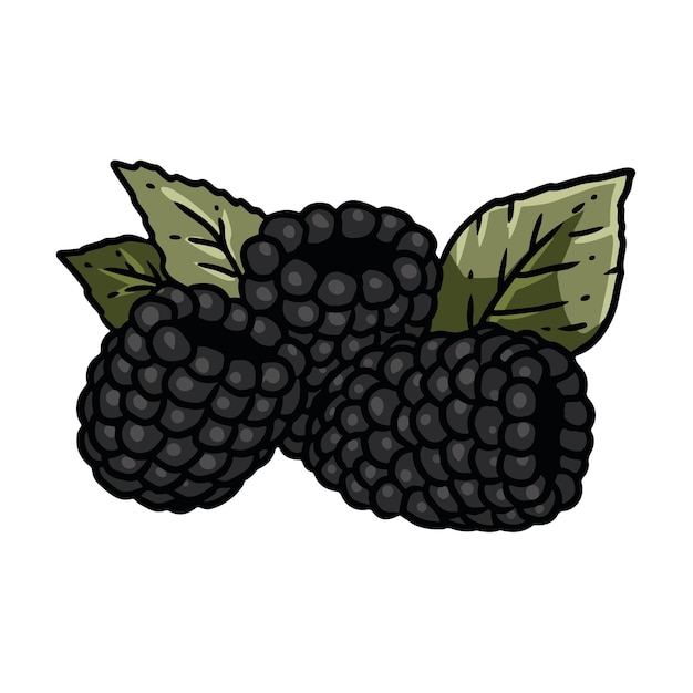 Blackberry botánico lineart vector icono bramble dewberries imagen de estilo cómico dibujado a mano aislado lineart imagen para impresiones diseños tarjetas para libros pegatinas carteles