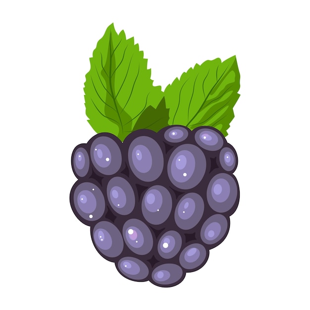 Vector blackberry