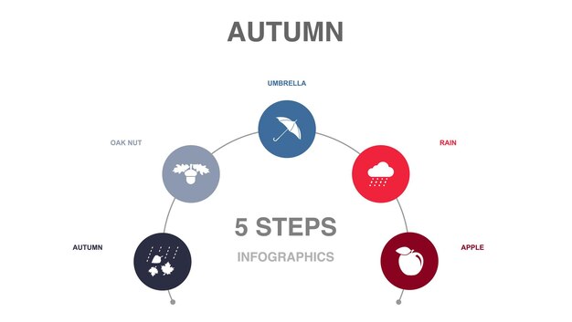 Blog de marketing digital Internet Gestión de contenido Iconos de investigación de marketing Plantilla de diseño infográfico Concepto creativo con 5 pasos