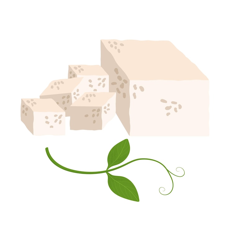 Vector bloque y cubos de ilustración de tofu