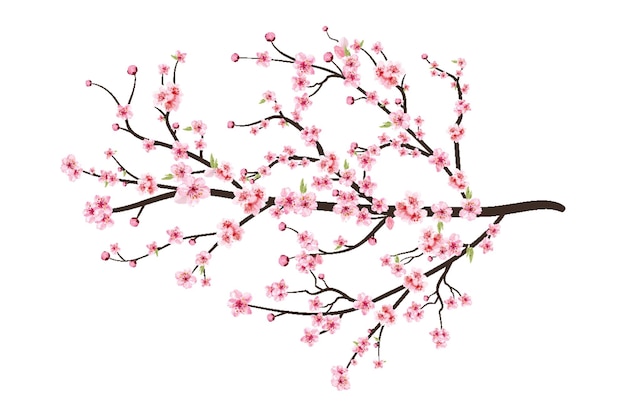 Blossom Brilliance celebra el día de la flor de cerezo en plena floración