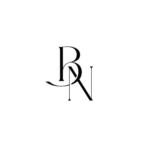 BN Monogram Logo Design letra texto nombre símbolo monocromo logotipo alfabeto carácter simple logo