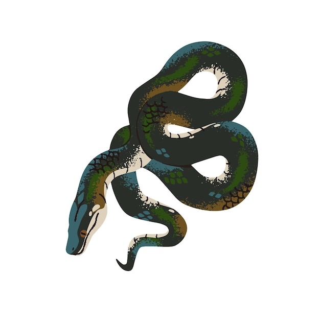 Boa arcoíris Pitón de labios blancos o agua Serpiente tropical con piel estampada a escala brillante Serpiente exótica de la selva tropical Animal terrario Ilustración vectorial aislada plana sobre fondo blanco