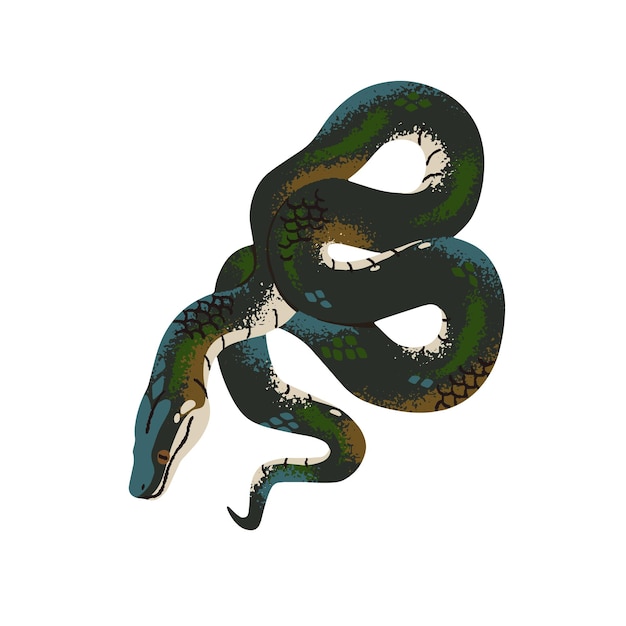 Vector boa arcoíris pitón de labios blancos o agua serpiente tropical con piel estampada a escala brillante serpiente exótica de la selva tropical animal terrario ilustración vectorial aislada plana sobre fondo blanco