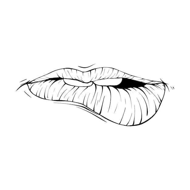 Boca labios bosquejo vector ilustración línea arte
