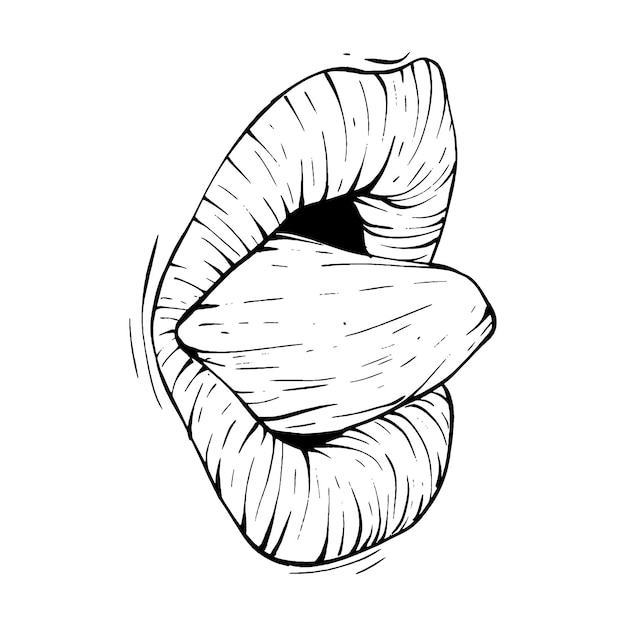 Boca labios bosquejo vector ilustración línea arte