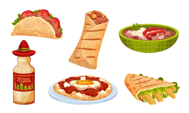 bocadillos y platos mexicanos conjunto vectorial apetitoso cursos tradicionales y colección de aperitivos