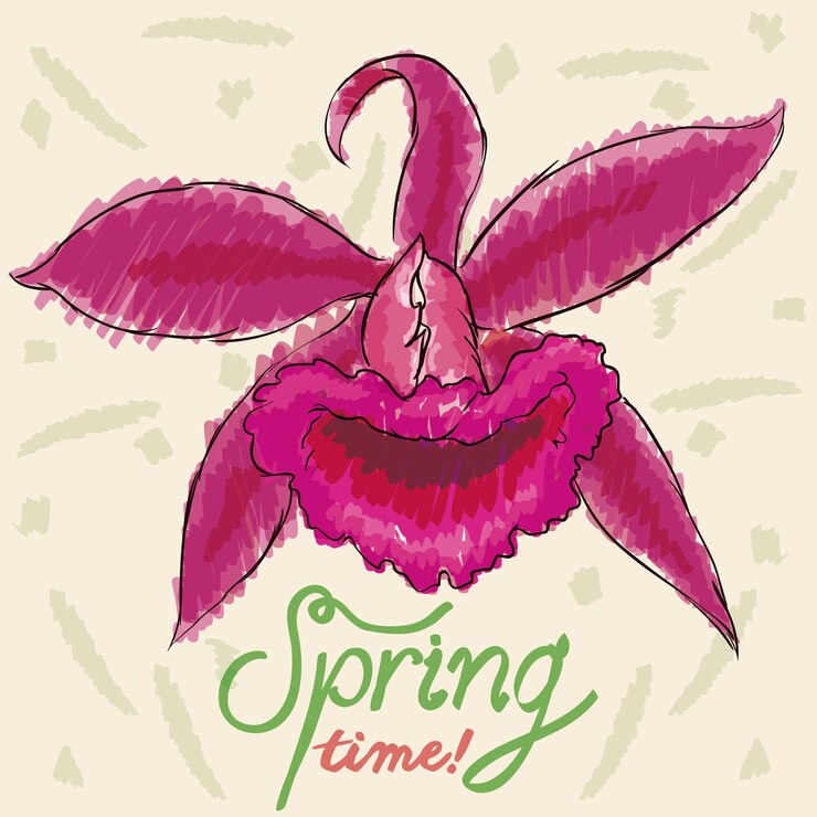 Vector boceto de una bella orquídea pintada con marcadores para la temporada de primavera