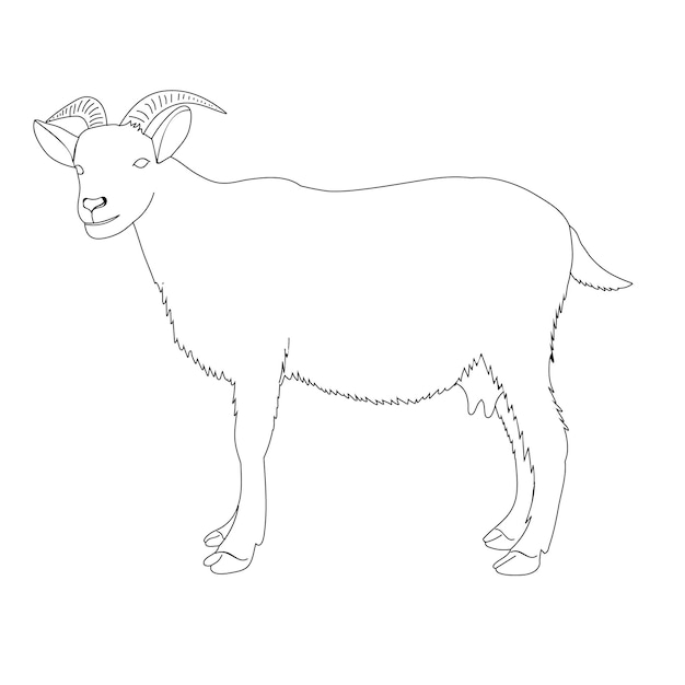 el boceto de una cabra está de pie sobre un fondo blanco