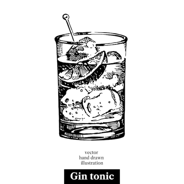 Vector boceto dibujado a mano cóctel gin tonic vintage objeto aislado vector illustrationxa