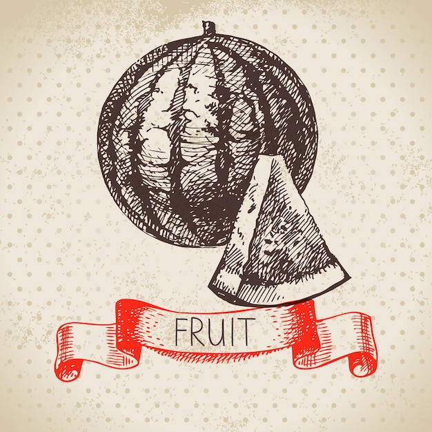 Vector boceto dibujado a mano fruta sandía fondo de alimentos ecológicos vector illustrationx9