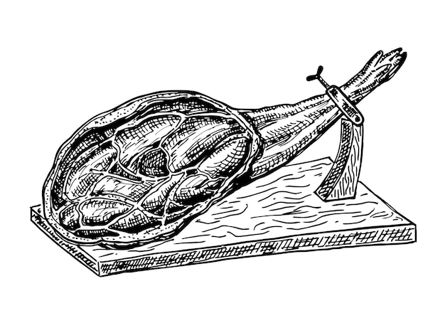 Boceto dibujado a mano de jamón español