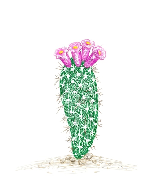 Vector boceto dibujado a mano de la planta de cactus arrojadoa