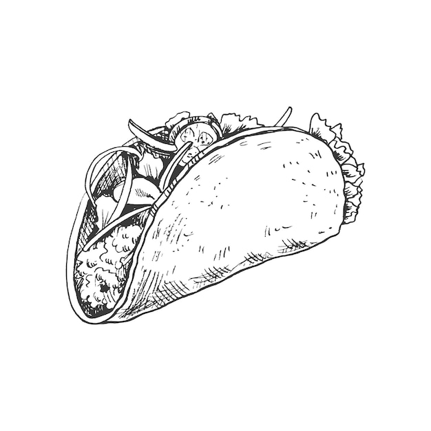 Boceto dibujado a mano de taco sobre fondo blanco Ilustración vintage de comida rápida