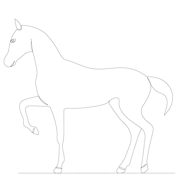 Boceto de dibujo de línea de potro, aislado, vector