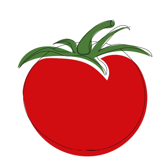 Boceto dibujo de línea de tomate, vector