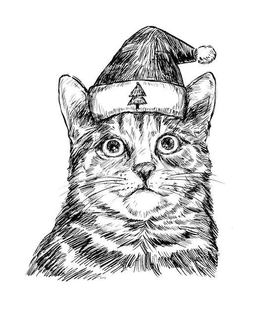 Boceto de dibujo de mano de gato de navidad