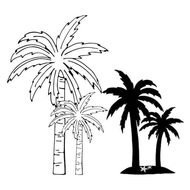 Boceto de doodle dibujado a mano de palmeras tropicales, estrellas de mar. Contorno de palmeras y silueta en la orilla. Ilustración de vacaciones de verano. Vector plano de dibujos animados para tarjeta de felicitación, invitación