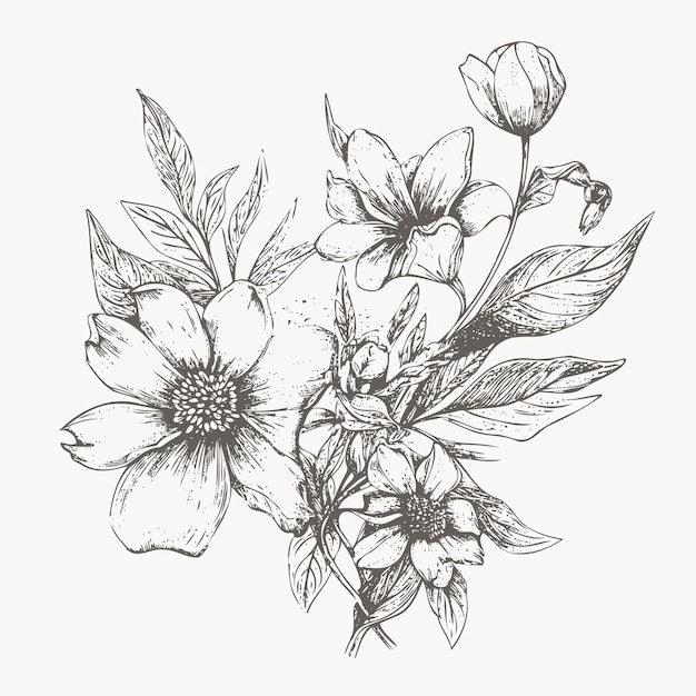 Boceto de flor Boceto dibujado a mano