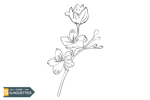 Vector un boceto de una flor con la palabra primavera.