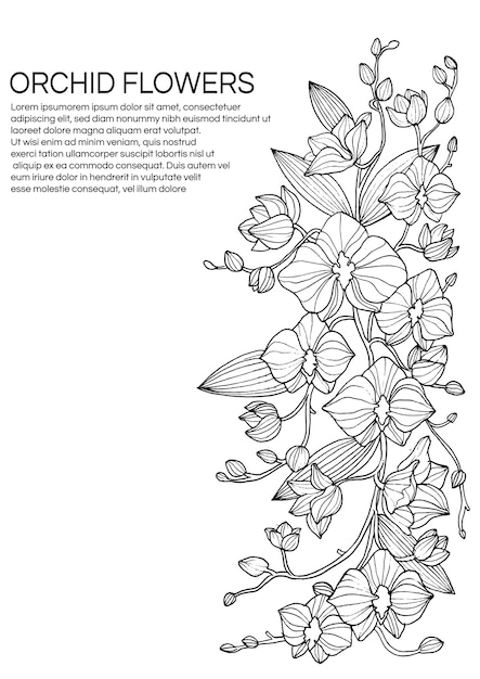 Boceto de flores de orquídeas