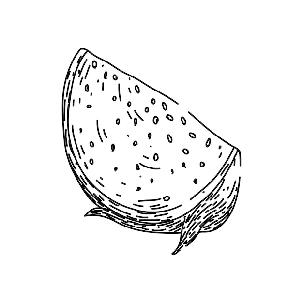 boceto de fruta de dragón orgánico vector dibujado a mano