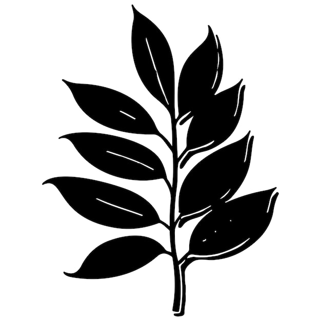 boceto de ilustración floral de la planta de hojas de ceniza