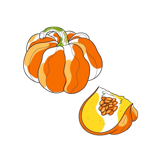 Boceto de ilustración vectorial con calabaza sobre un fondo blanco