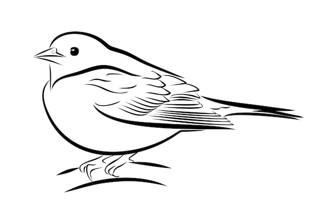 Un boceto de un pequeño pájaro del bosque