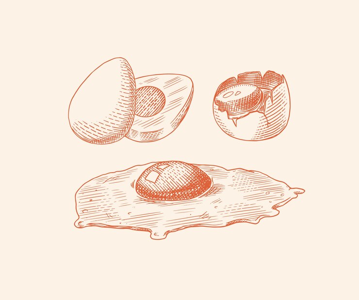 Vector boceto vintage dibujado a mano grabado