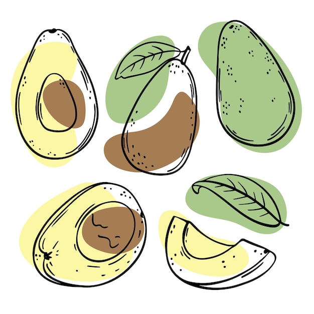 Bocetos de aguacate entero y mitades con toques de color amarillo, verde y marrón