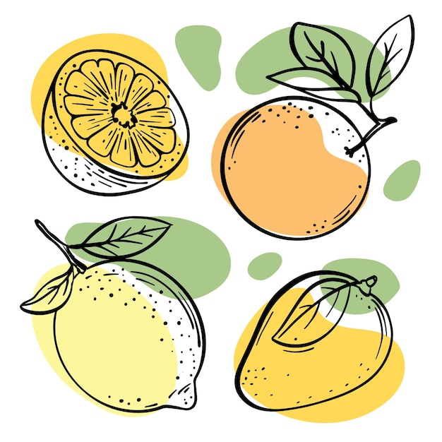 Bocetos de frutas múltiples con ilustraciones de salpicaduras de color naranja, amarillo y verde pastel