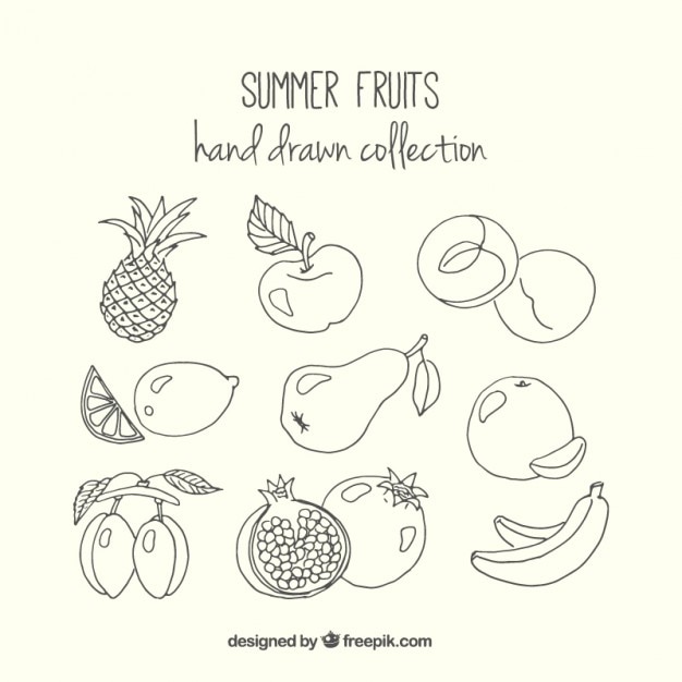 Vector bocetos de frutas de verano deliciosas