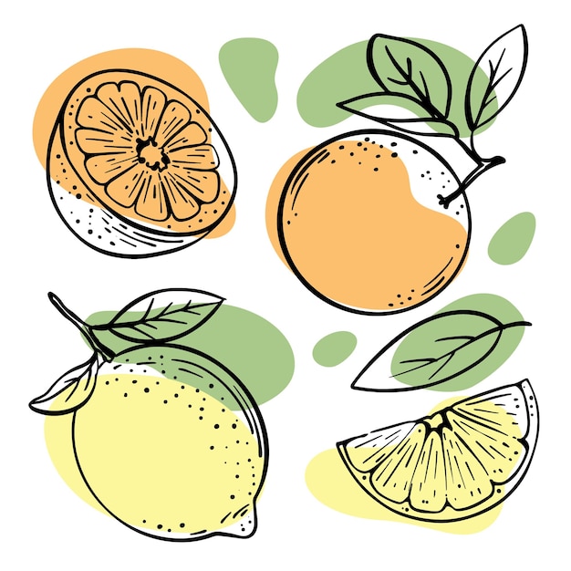 Bocetos de naranjas y limones y mitades con ilustraciones de salpicaduras de color naranja y amarillo pastel