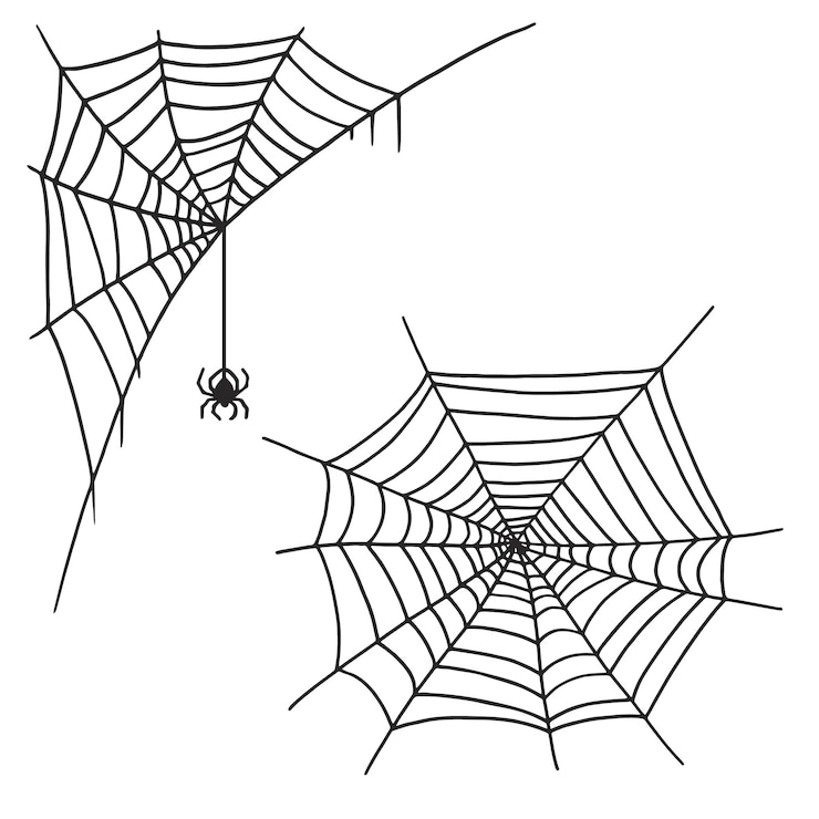 Vector bocetos de telaraña para decoración de halloween