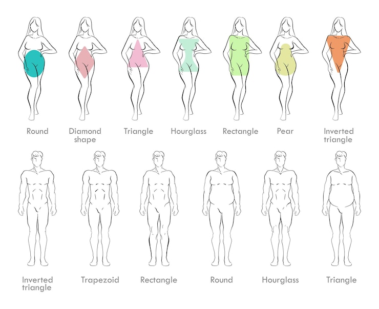 Vector bocetos de tipos de cuerpo masculino y femenino.