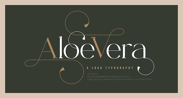 Boda de lujo letras del alfabeto fuente y número Tipografía elegante letras clásicas serif fuentes decorativas retro vintage con ilustración de vector de concepto de colas